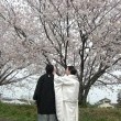 吉野川近くの桜と和装姿の新郎新婦様